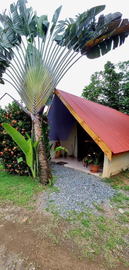 Ballena Oasis Homes & Glamping Uvita Exterior photo